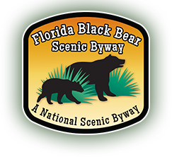 About Black Bears - Florida Black Bear Scenic Byway