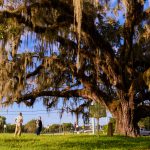 Bartram Oak in Astor