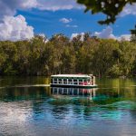 Historic glass-bottom boat tours at Silver Springs State Park