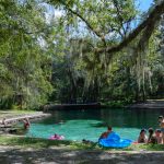 Juniper Springs Swimming pool