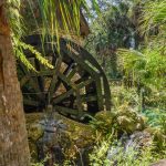 Juniper Springs water wheel