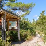 Kiosk on the Yearling Trail