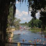 Swimming at Salt Springs